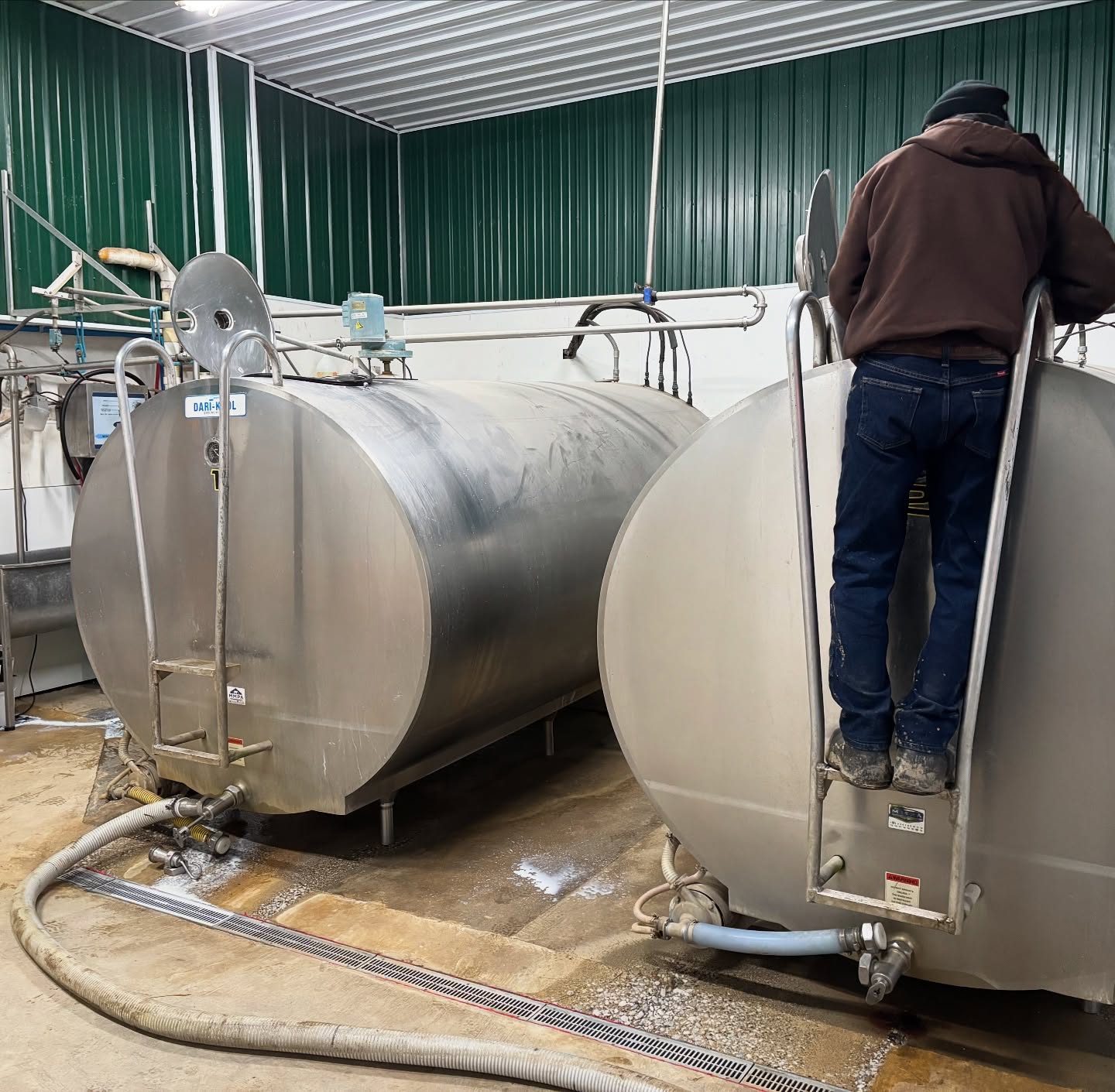 شیر سردکن دامداری