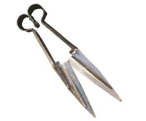 قیچی پشم چین گوسفند