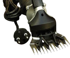 پشم چین گوسفند ساخت ترکیه