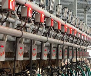  شیردوش بز جک دار iGol